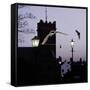 Common Pipistrelles (Pipistrellus Pipistrellus) Flying Round Church Tower. UK. Digital Composite-null-Framed Stretched Canvas