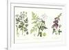 Common Poisonous Plants, C.1890-null-Framed Giclee Print