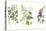 Common Poisonous Plants, C.1890-null-Stretched Canvas