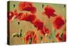 Common Poppies-null-Stretched Canvas