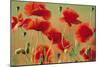 Common Poppies-null-Mounted Photographic Print