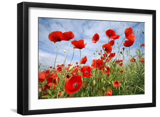 Premium Photographic Print, , large
