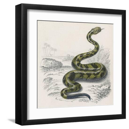 Art Print, , large