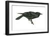 Common Raven (Corvus Corax), Birds-Encyclopaedia Britannica-Framed Art Print