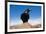 Common Raven (Corvus Corax) Perched on Rock, La Caldera De Taburiente Np, La Palma, Canary Islands-Relanzón-Framed Photographic Print