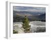 Common Raven, Mammoth Hot Springs, Yellowstone National Park, Wyoming, USA-Rolf Nussbaumer-Framed Photographic Print