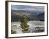 Common Raven, Mammoth Hot Springs, Yellowstone National Park, Wyoming, USA-Rolf Nussbaumer-Framed Photographic Print