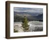 Common Raven, Mammoth Hot Springs, Yellowstone National Park, Wyoming, USA-Rolf Nussbaumer-Framed Photographic Print