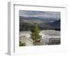 Common Raven, Mammoth Hot Springs, Yellowstone National Park, Wyoming, USA-Rolf Nussbaumer-Framed Photographic Print