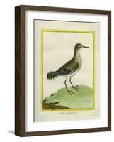 Common Sandpiper-Georges-Louis Buffon-Framed Giclee Print