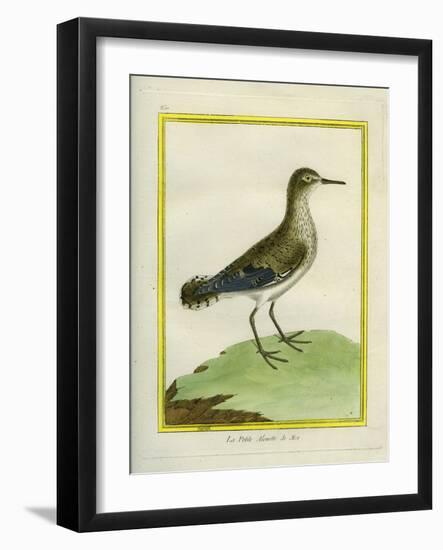 Common Sandpiper-Georges-Louis Buffon-Framed Giclee Print