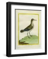 Common Sandpiper-Georges-Louis Buffon-Framed Premium Giclee Print