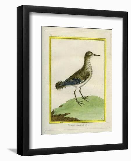 Common Sandpiper-Georges-Louis Buffon-Framed Premium Giclee Print