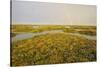 Common Sea Lavender (Limonium Vulgare) and Sea Purslane on Saltmarsh Habitat with Rainbow, Essex,Uk-Terry Whittaker-Stretched Canvas