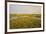 Common Sea Lavender (Limonium Vulgare) and Sea Purslane on Saltmarsh Habitat with Rainbow, Essex,Uk-Terry Whittaker-Framed Photographic Print