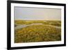 Common Sea Lavender (Limonium Vulgare) and Sea Purslane on Saltmarsh Habitat with Rainbow, Essex,Uk-Terry Whittaker-Framed Photographic Print