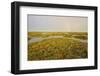 Common Sea Lavender (Limonium Vulgare) and Sea Purslane on Saltmarsh Habitat with Rainbow, Essex,Uk-Terry Whittaker-Framed Photographic Print