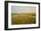 Common Sea Lavender (Limonium Vulgare) and Sea Purslane on Saltmarsh Habitat with Rainbow, Essex,Uk-Terry Whittaker-Framed Photographic Print