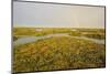 Common Sea Lavender (Limonium Vulgare) and Sea Purslane on Saltmarsh Habitat with Rainbow, Essex,Uk-Terry Whittaker-Mounted Photographic Print