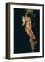 Common Seahorse-Hal Beral-Framed Photographic Print