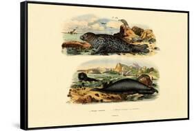 Common Seal, 1833-39-null-Framed Stretched Canvas