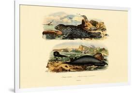 Common Seal, 1833-39-null-Framed Giclee Print