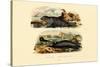 Common Seal, 1833-39-null-Stretched Canvas