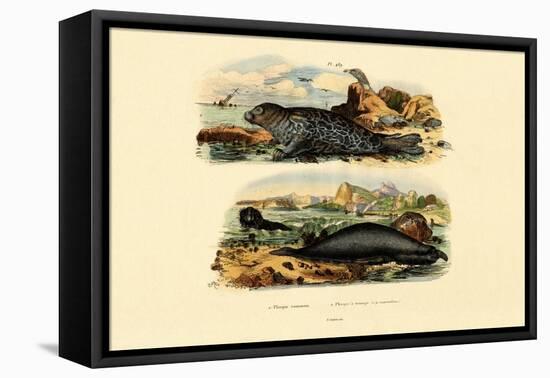 Common Seal, 1833-39-null-Framed Stretched Canvas
