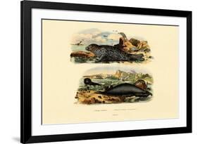 Common Seal, 1833-39-null-Framed Giclee Print