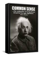 Common Sense-null-Framed Stretched Canvas