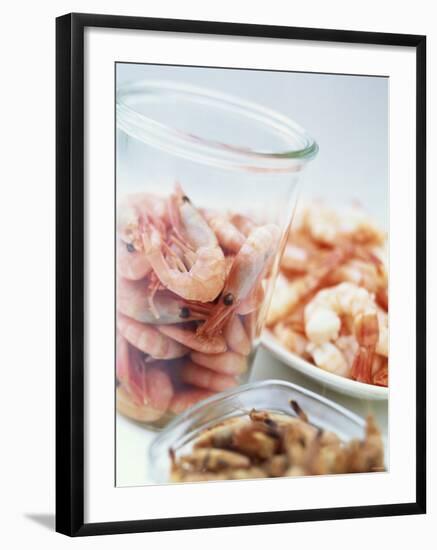 Common Shrimp, Busumer Shrimps and Gambas-Peter Medilek-Framed Photographic Print