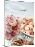 Common Shrimp, Busumer Shrimps and Gambas-Peter Medilek-Mounted Photographic Print