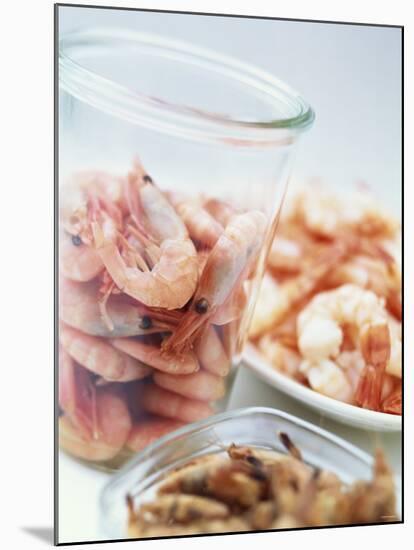 Common Shrimp, Busumer Shrimps and Gambas-Peter Medilek-Mounted Photographic Print