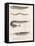 Common Snake Fish. Common Sand Eel. Common Hornhecht. Brazilian Halfbeak, C.1850S-null-Framed Stretched Canvas