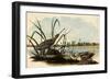 Common Snipe-John James Audubon-Framed Giclee Print