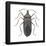 Common Squash Bug (Anasa Tristis), Insects-Encyclopaedia Britannica-Framed Poster