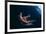 Common Starfish (Asterias Rubens) Swimming, Saltstraumen, Bod?, Norway, October 2008-Lundgren-Framed Photographic Print