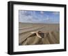 Common Starfish Washed Up on Beach, Norfolk, UK, November 2008-Gary Smith-Framed Photographic Print