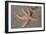 Common Starfish-null-Framed Photographic Print