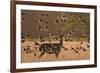 Common starlings, Sturnus vulgaris, with a fallow deer in a clearing.-Alex Saberi-Framed Photographic Print