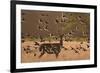 Common starlings, Sturnus vulgaris, with a fallow deer in a clearing.-Alex Saberi-Framed Photographic Print