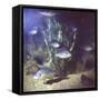 Common Sunfish-null-Framed Stretched Canvas