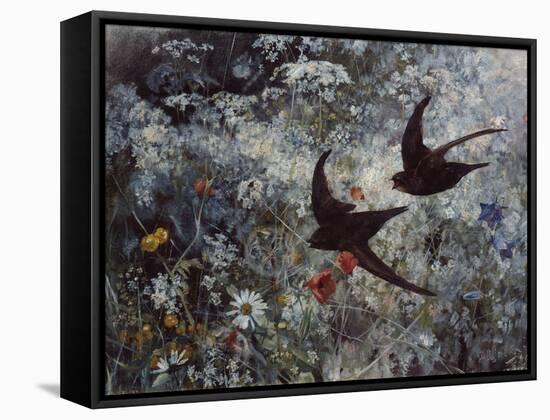 Common Swift, 1886-Bruno Andreas Liljefors-Framed Stretched Canvas