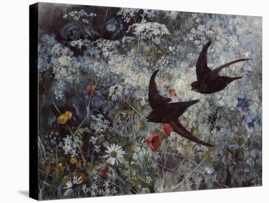 Common Swift, 1886-Bruno Andreas Liljefors-Stretched Canvas