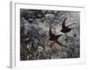 Common Swift, 1886-Bruno Andreas Liljefors-Framed Giclee Print