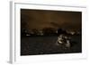 Common Toad (Bufo Bufo) and Common Frog (Rana Temporaria) in Amplexus in Urban Park-Sam Hobson-Framed Photographic Print