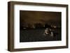 Common Toad (Bufo Bufo) and Common Frog (Rana Temporaria) in Amplexus in Urban Park-Sam Hobson-Framed Photographic Print