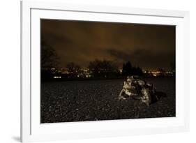 Common Toad (Bufo Bufo) and Common Frog (Rana Temporaria) in Amplexus in Urban Park-Sam Hobson-Framed Photographic Print