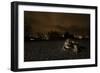 Common Toad (Bufo Bufo) and Common Frog (Rana Temporaria) in Amplexus in Urban Park-Sam Hobson-Framed Photographic Print