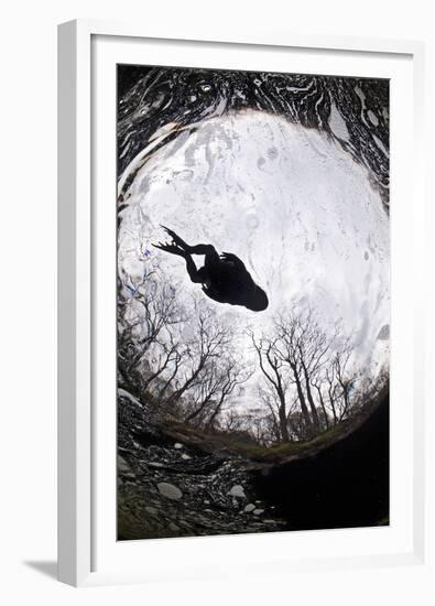 Common Toad (Bufo Bufo) in Water, Seen from a Low, Wide Perspective with Trees on the Bank Visible-Alex Mustard-Framed Premium Photographic Print